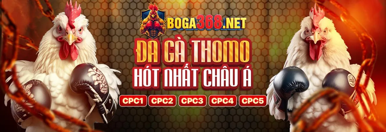 Đá gà trực tuyến 11uu nhà cái, trận đấu kịch tính
