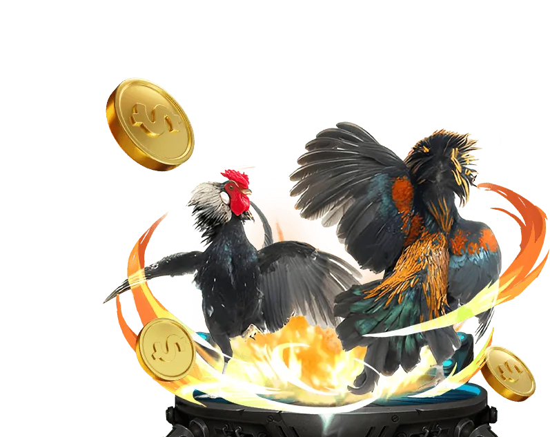 Luật chơi đá gà trực tuyến tại 11uu nhà cái