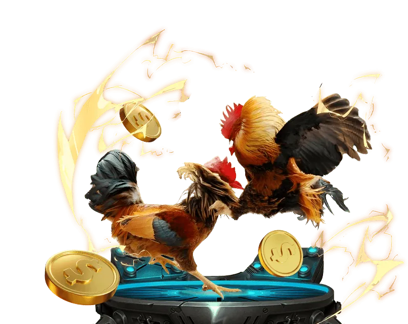 Trường gà trực tiếp 11uu nhà cái